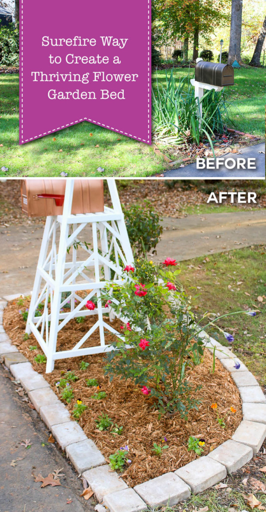 surefire way to create thriving garden flower bed