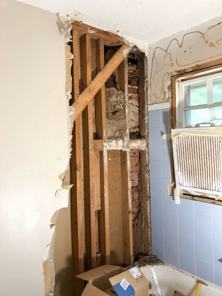 nest in wall cavity