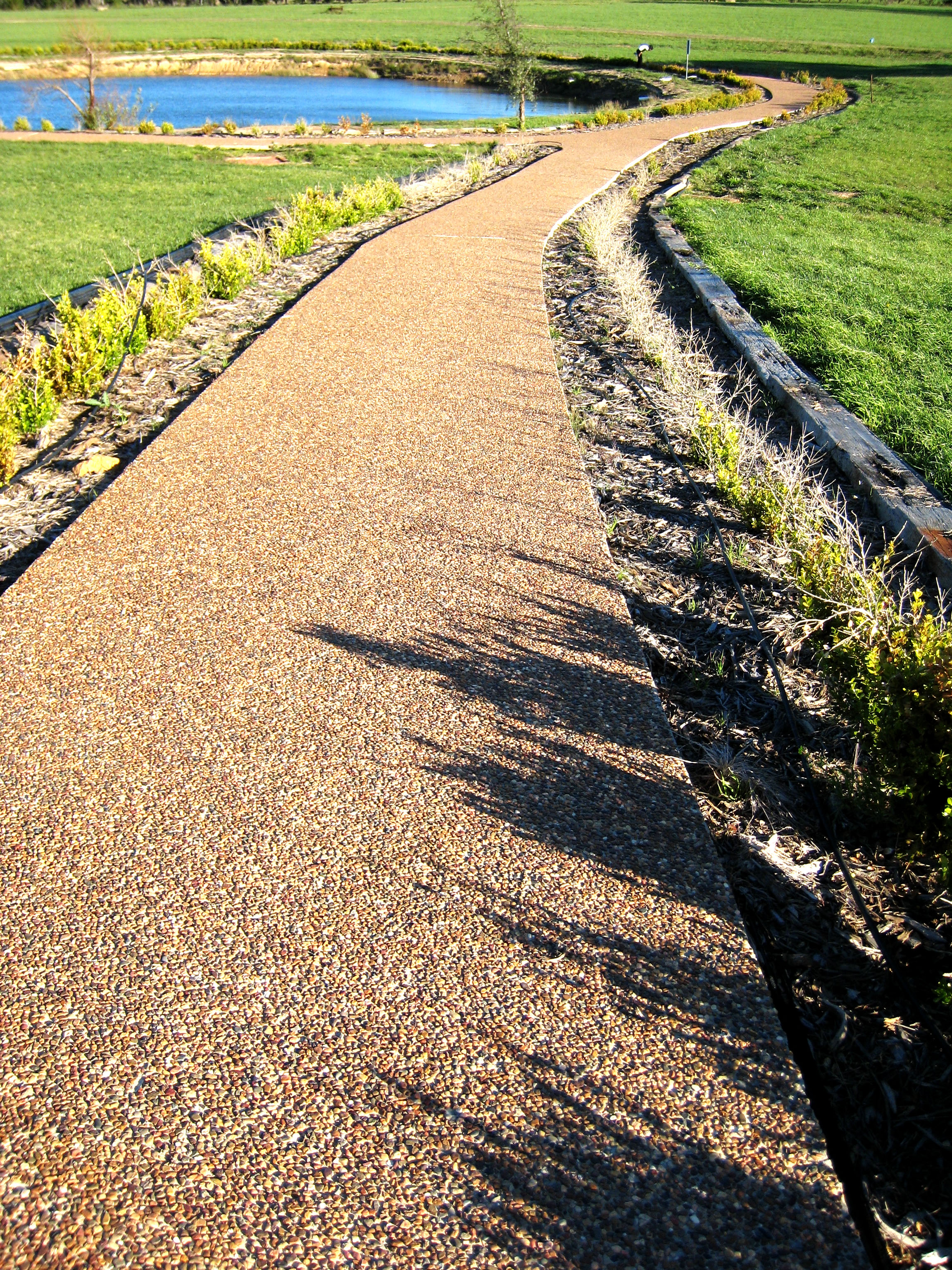 exposed aggregate walkway lined by plants and grass