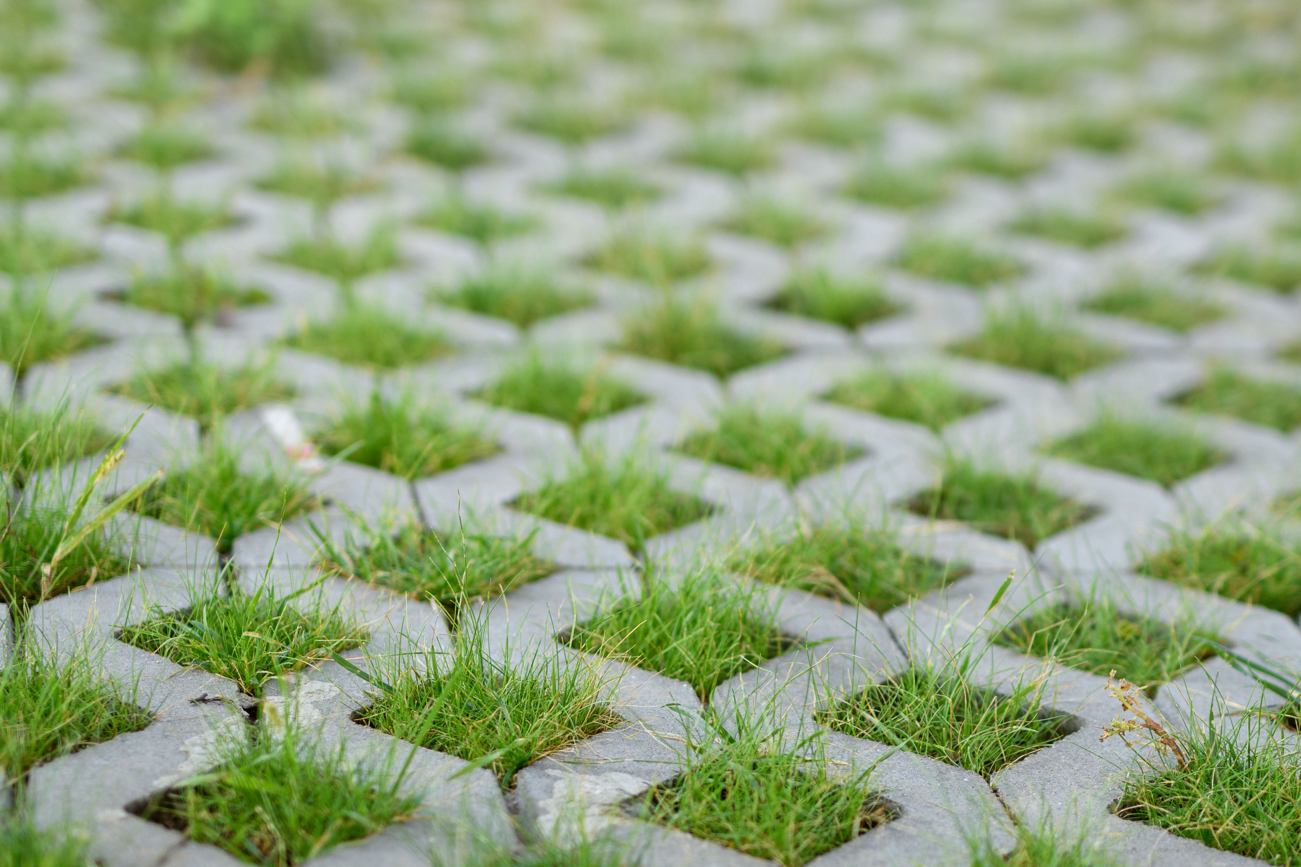 permeable concrete pavers in lattice pattern with grass growing in between