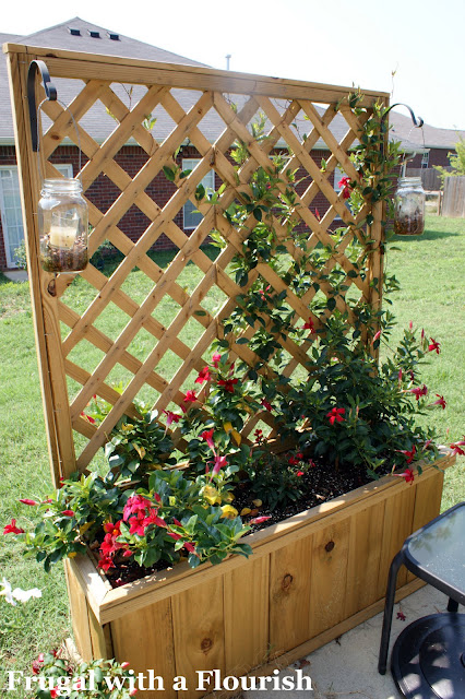 diy lattice planter