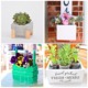 collage with 4 images showing diy planters