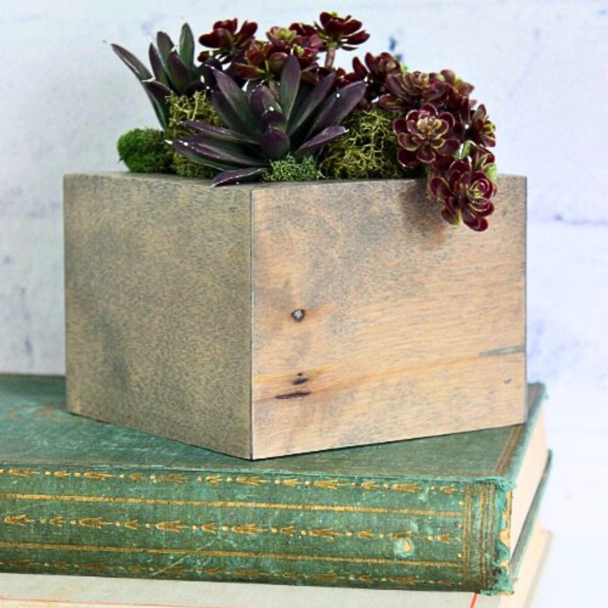 wood mini planter