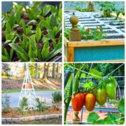 4 image collage raised beds
