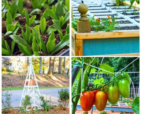 4 image collage raised beds