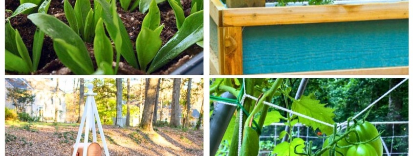 4 image collage raised beds