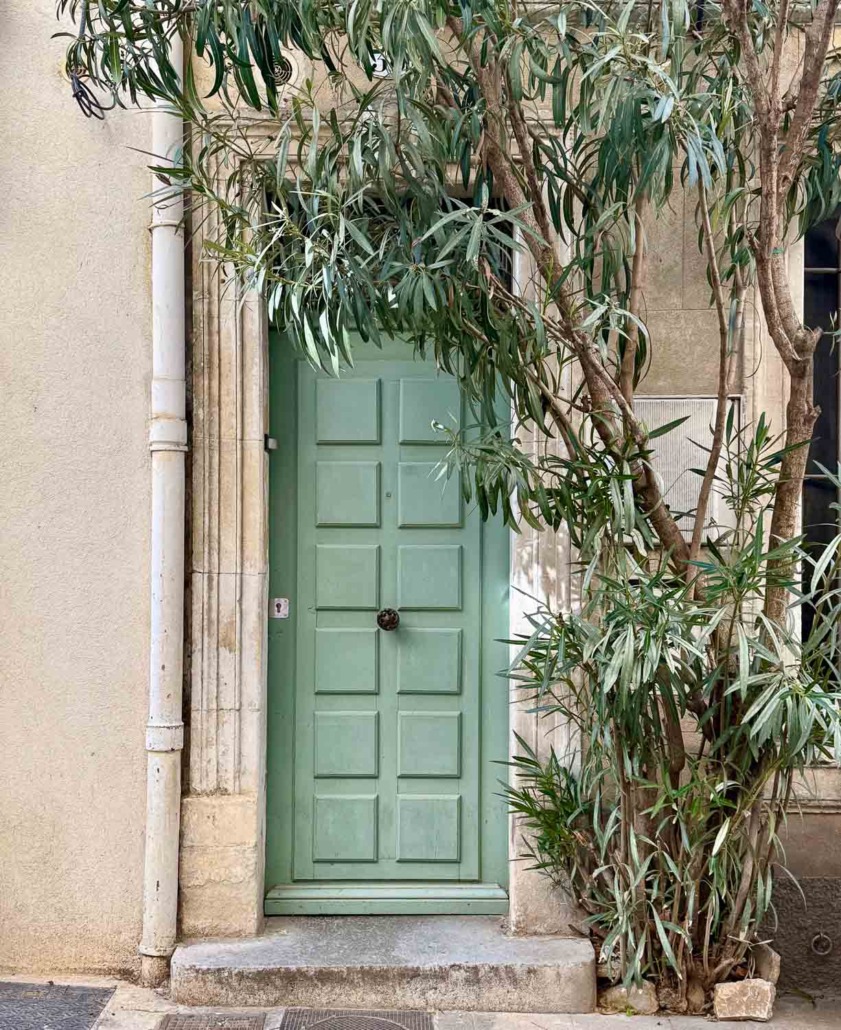 Spearmint by Sherwin Williams - Skinny little blue green door with potted tree in front of it. Spotted in Barcelona, Spain