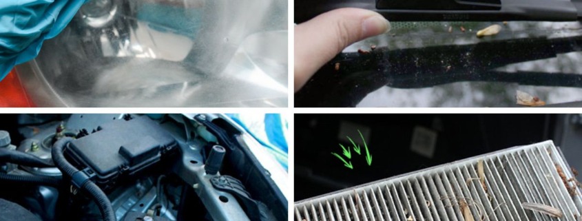 collage with 4 diy car maintenance projects